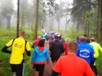 Halbnmarathon durch den Wald